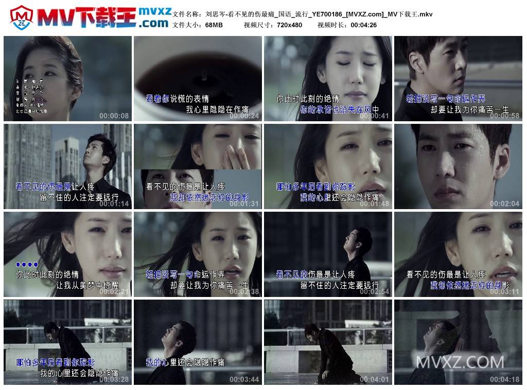 刘思岑-看不见的伤最痛_国语_流行_YE700186